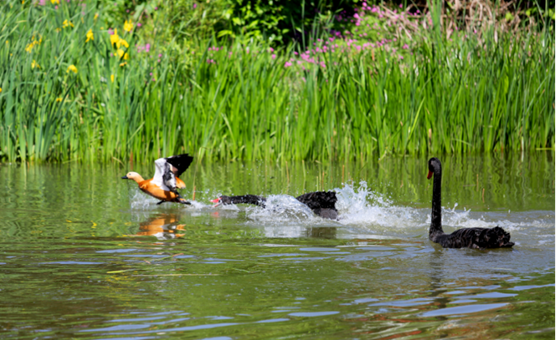 说明: //rcb.madoucm1.net/__local/5/A1/BF/141495AC6945C309DDB4AD2C889_6E35C68A_1210AD.png