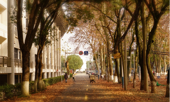 说明: //rcb.madoucm1.net/__local/F/DC/AD/26AAF68465C39908E951504ECA2_E70C2E5D_119062.png